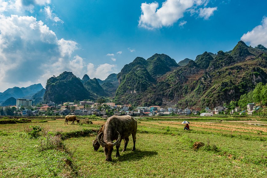 Beyond the Loop: The Definitive Guide to an Extended Ha Giang Cycling Tour